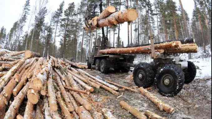 俄罗斯远东最大林业集团被日本饭田集团收购